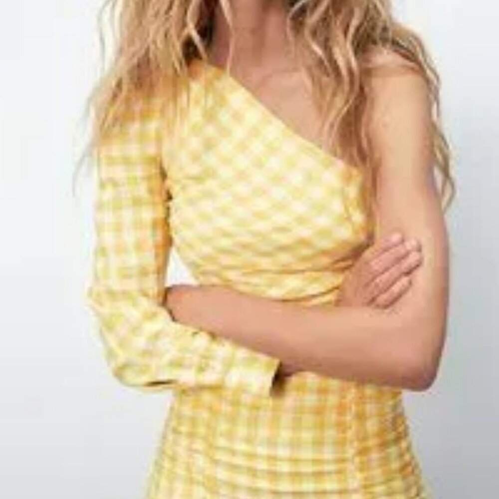 Zara NWOT One Sleeve Checked Top